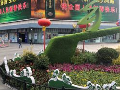 -MIVI野生眉纹绣纹眉