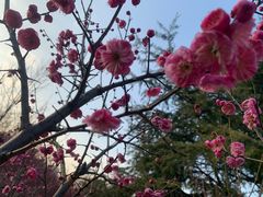 -白塘生态植物园