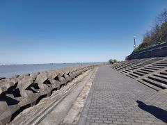 -上海滨江森林公园
