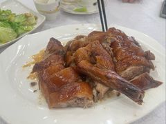 -姚林轩