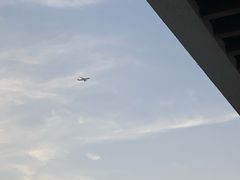 -白天鹅宾馆·月兔吧