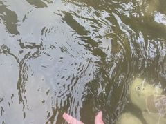 -雅鲁激流探险漂流