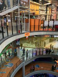 -嗨翻Hi-Fun竞技主题乐园·蹦床团建生日聚会(五棵松华熙店)