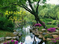 -上海共青森林公园