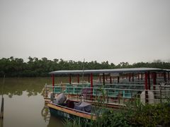 -大湾区中央湿地公园