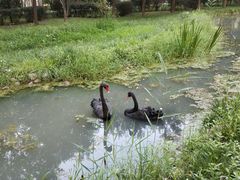 -北京麋鹿生态实验中心