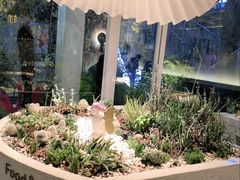 -春树下·树屋花房西餐厅(罍街AS1980店)