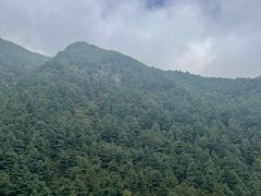 -苍山感通索道