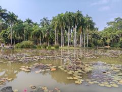 -中国科学院西双版纳热带植物园