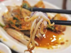 鱿鱼-长平肥姐白粥·海鲜打冷