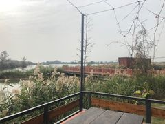 -芒洲湿地公园