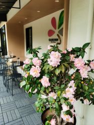 点击看大图 -Garden花園造型