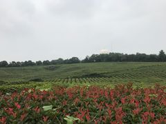 -南京市江宁方山