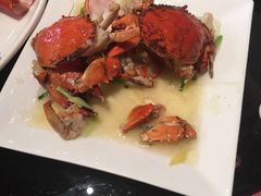 -碧丽宫大酒店(召稼楼店)