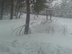 -北极村旅游风景区