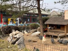 -有喜胶东小馆(超极合生汇太申祥和店)