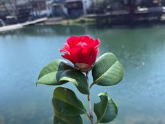 -鹿亭中村