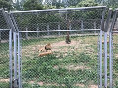 -西安秦岭野生动物园