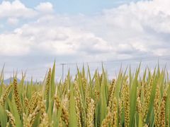 -东钱湖旅游度假区