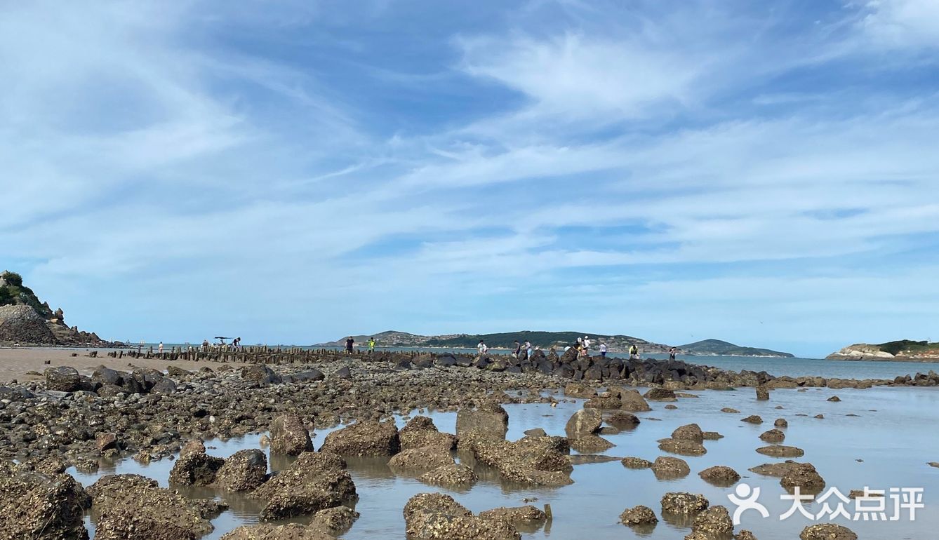 平潭赶海🌊小海鲜统统带回家啦！