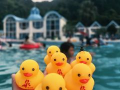 -清泉湾生态旅游度假区