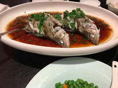-羡餐厅·杭帮菜·淳菜(千岛湖自由洲际殿店)