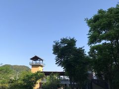 -衢州大荫山丛林飞越探险乐园