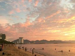 -芽庄喜来登水疗酒店