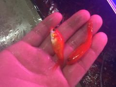 -爱玛裕家居购物广场