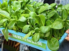 -番食园鲜食火锅(高新店)