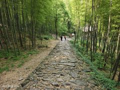 -仙霞关景区
