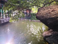 -珠海圆明新园