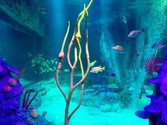 -沈阳海洋探索中心