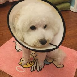 -P.STYLE派斯造型