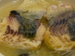 -新世纪大酒楼·30年南海菜