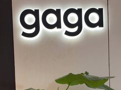 -gaga(深圳南山益田假日广场店)