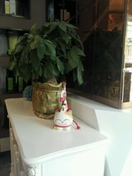 -佐登妮丝美容SPA生活馆