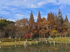 -昆山城市公园