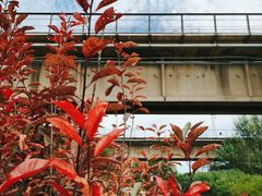 -永定河休闲森林公园