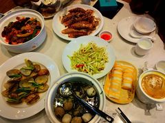 -欢乐海岸美食联盟