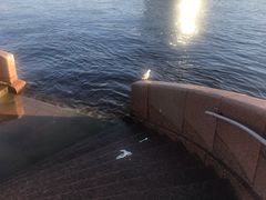 -阿芙乐尔号巡洋舰