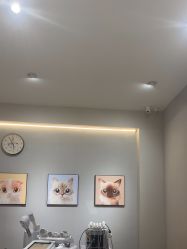 点击看大图 -洗脸猫·洗脸吧