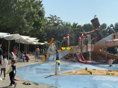 -味餐厅·海鲜·火锅·自助餐