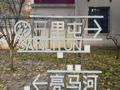 -三里屯东五街银杏大道