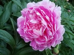 -长春公园(普阳街道)