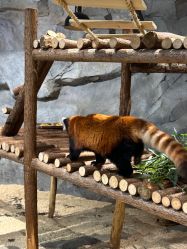 -Zoolung Zoolung动物主题公园(海信广场店)