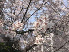 -南京晓庄学院(莫愁校区)