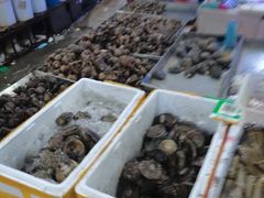 -济南海鲜大市场