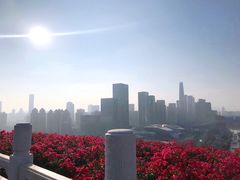 -莲花山公园