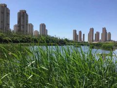 -前关湿地公园